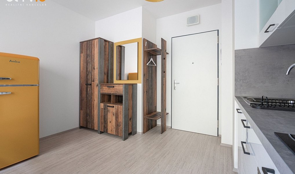 Pronájem bytu 2+1 46 m², Brno – náhled fotky 8
