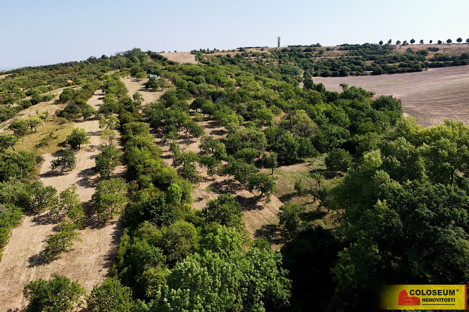 Prodej pole 4 149 m² – fotografie 3