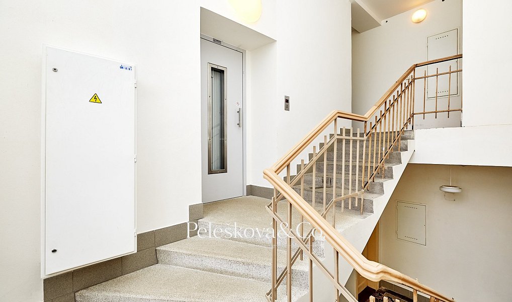 Pronájem bytu 4+kk 177 m², Praha – náhled fotky 15