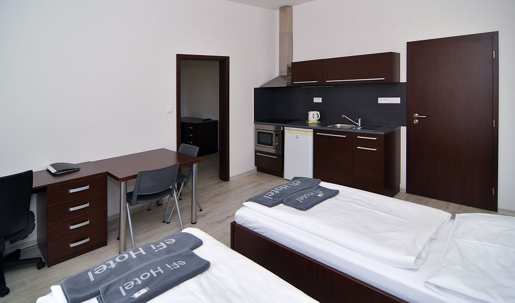 Pronájem bytu 2+kk 46 m², Brno – náhled fotky 4