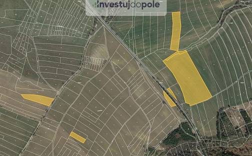 Prodej pole 14 125 m², Loket - Brzotice, okres Benešov