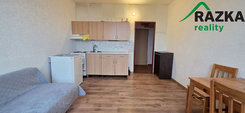 Pronájem bytu 1+kk 20 m²