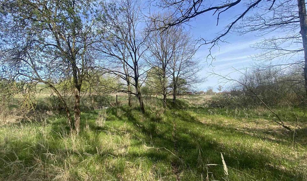 Prodej pozemku 2 086 m², Hranice – náhled fotky 3