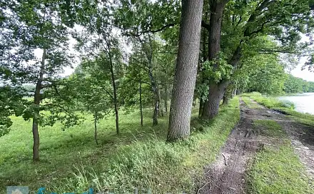 Prodej pozemku 1 639 m², Čejetice - Mladějovice, okres Strakonice