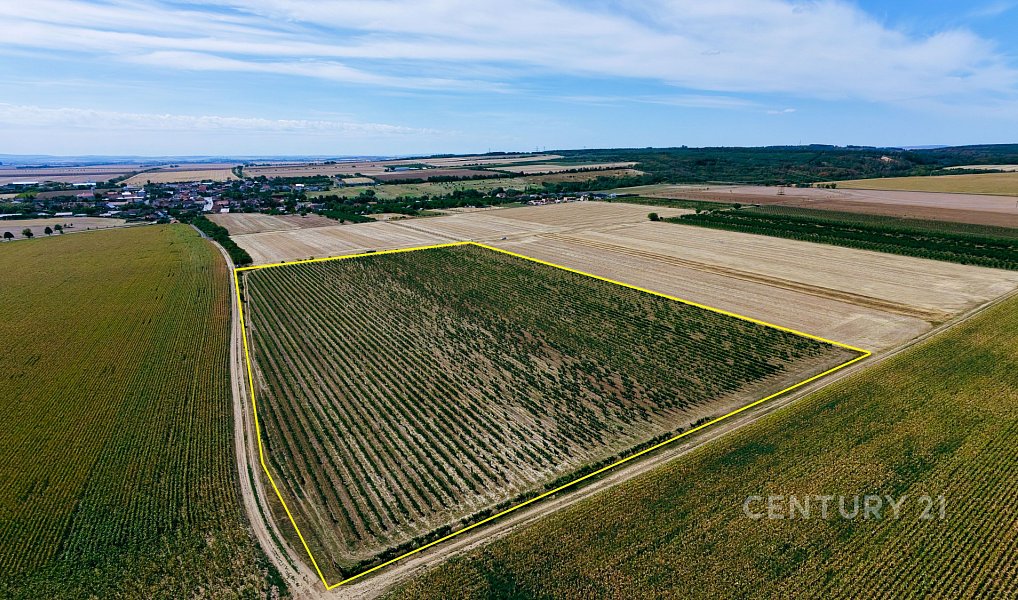 Prodej pole 48 928 m², Těšetice – fotka 1 z 15