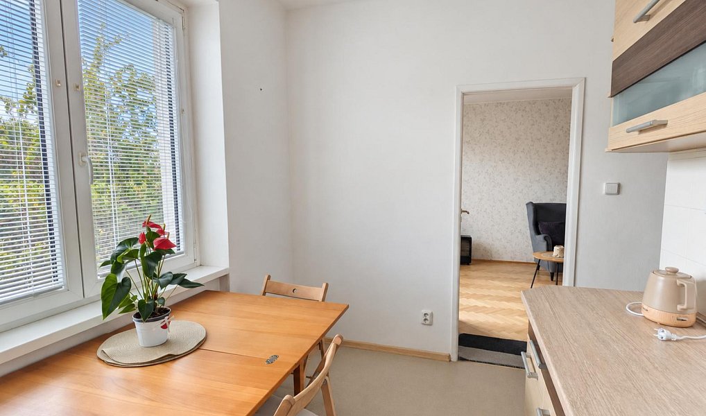 Pronájem bytu 2+1 49 m², Teplice – náhled fotky 4