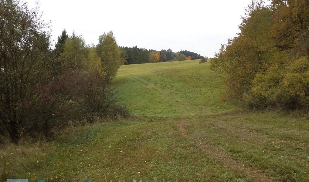 Prodej komerčního pozemku 4 068 m², Vidochov – náhled fotky 3
