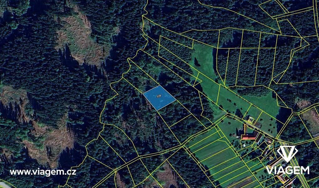 Prodej lesa 1 467 m², Vyklantice – náhled fotky 4