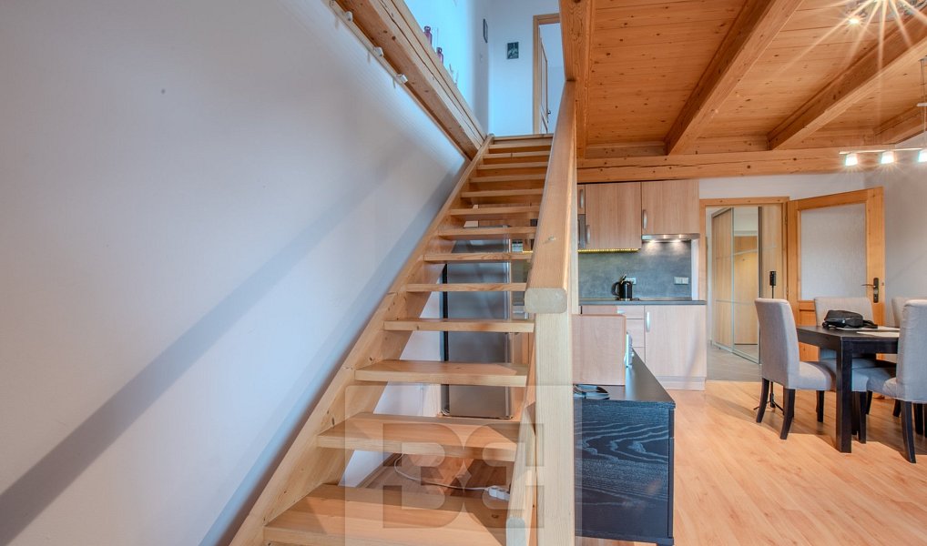 Pronájem bytu 3+kk 74 m², Vítkovice – náhled fotky 11