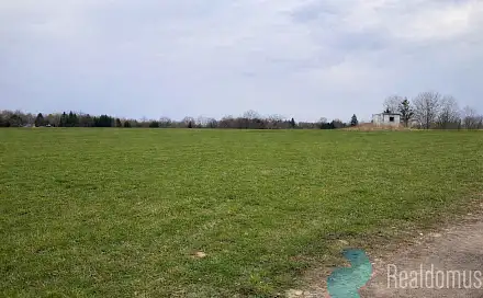 Prodej stavebního pozemku 781 m², Rejta, Trhové Sviny, okres České Budějovice