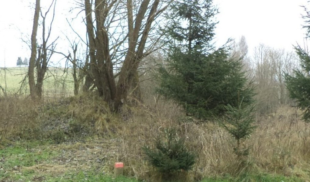 Dražba pozemku, 1390 m², Český Krumlov, Horní Planá
