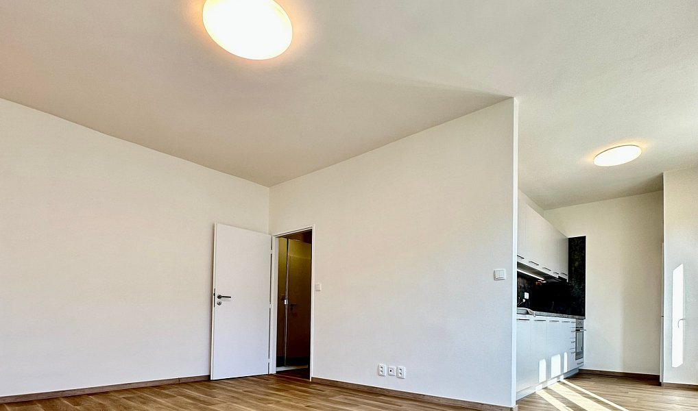 Pronájem bytu 2+1 56 m², Praha – náhled fotky 9
