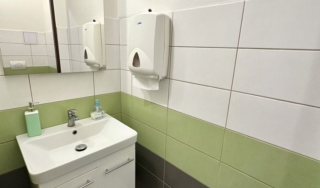 Prodej obchodních prostor 1 076 m², Lutonina – náhled fotky 14
