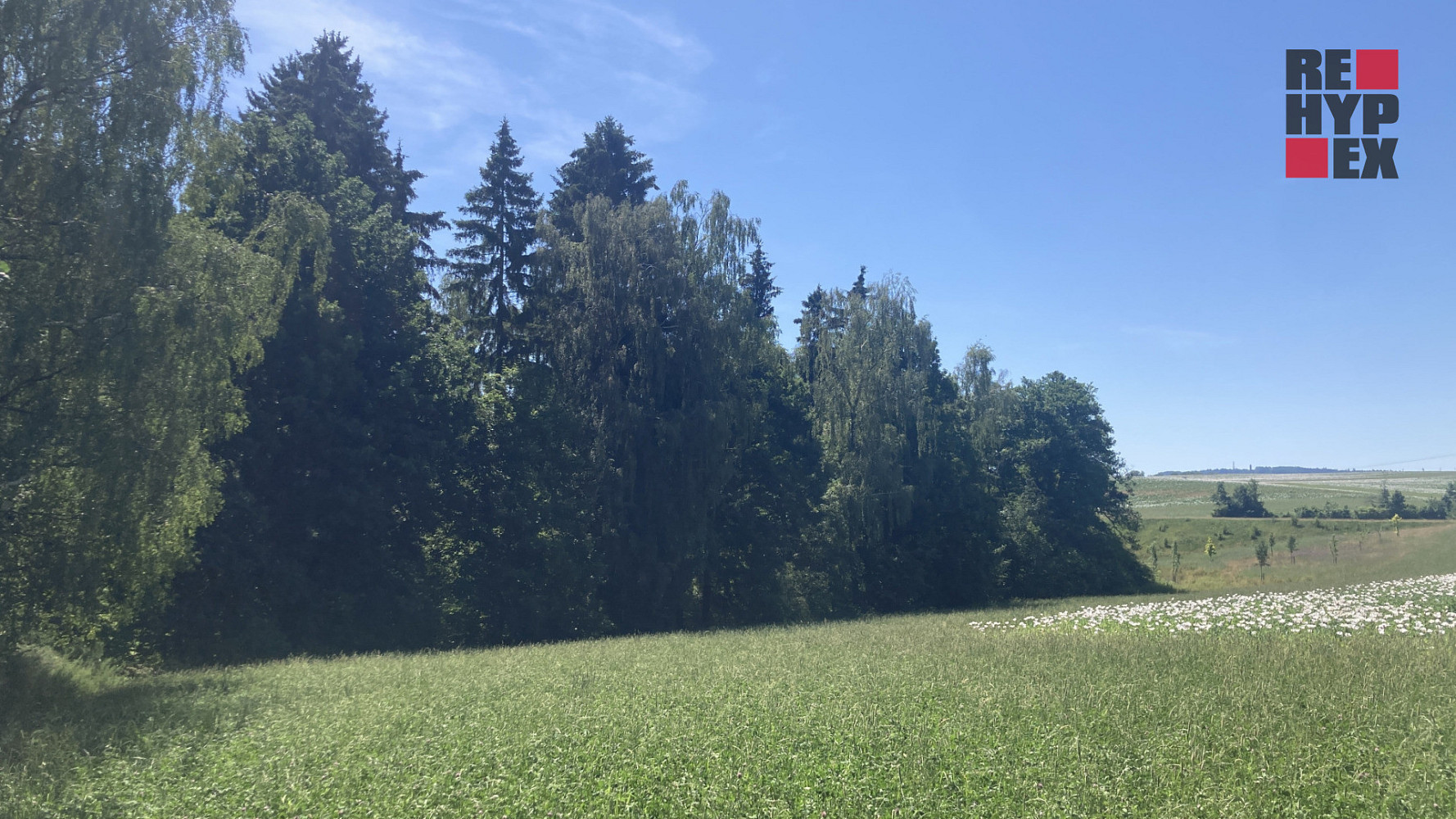 Prodej pole 3 130 m² — photo 3