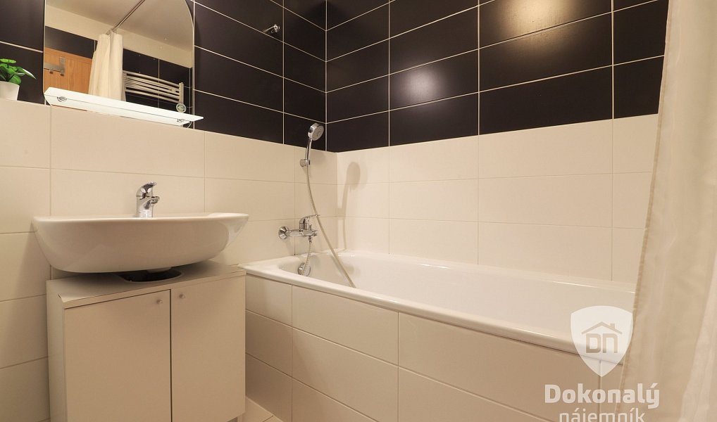 Pronájem bytu 2+kk 56 m², Praha – náhled fotky 9