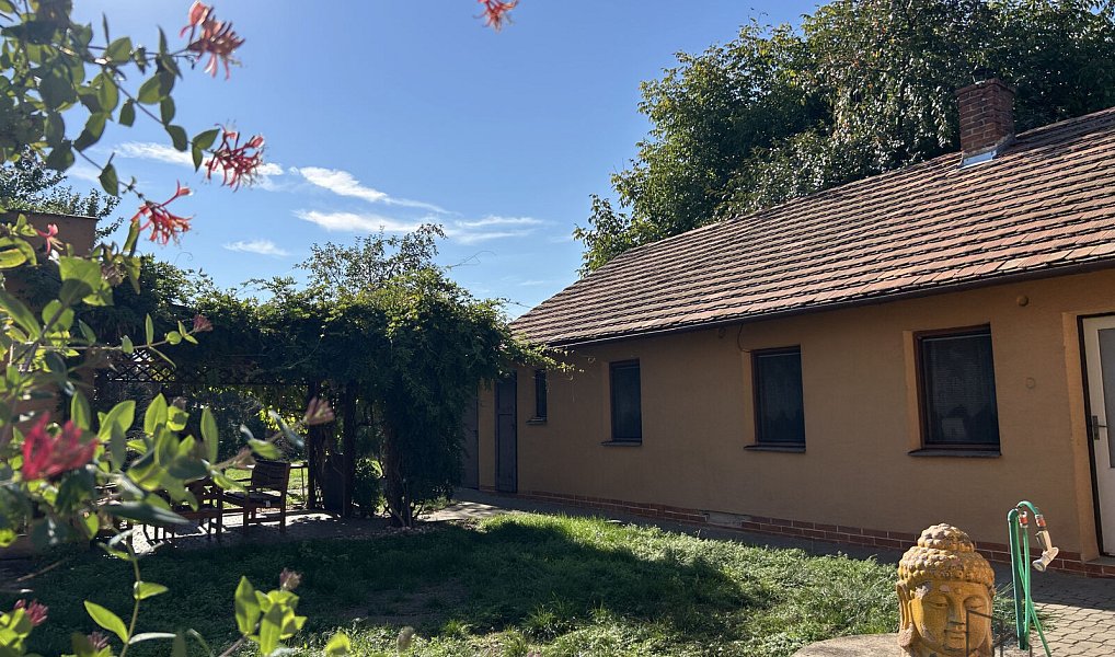 Pronájem domu 699 m² s pozemkem 620 m², Moravský Písek – náhled fotky 3