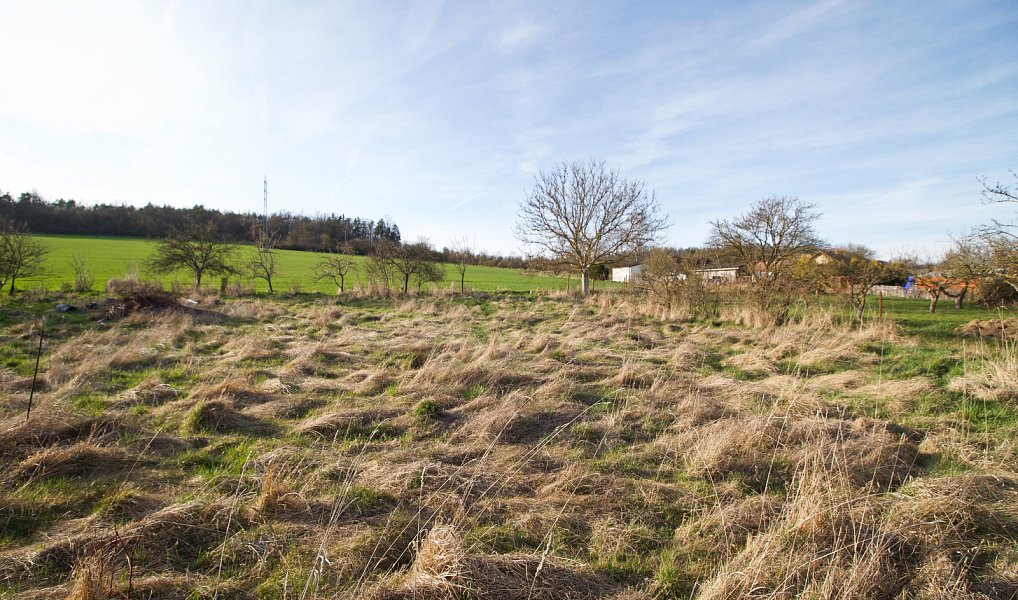 Prodej stavebního pozemku 620 m², Ptenín – náhled fotky 2