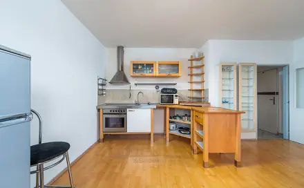 Prodej bytu 2+kk 46 m², Riegrova, České Budějovice - České Budějovice 3