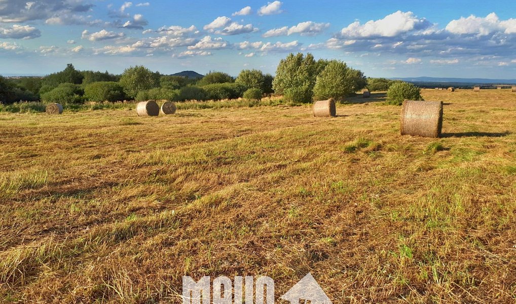 Prodej louky 118 619 m², Petrovice – náhled fotky 3