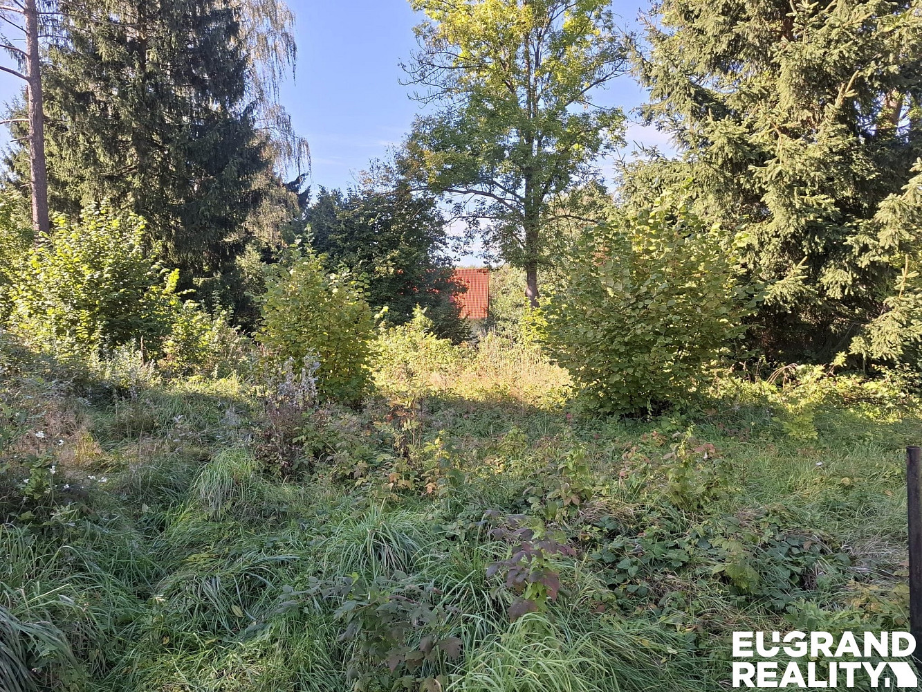 Prodej stavebního pozemku 1 656 m² – fotografie 3