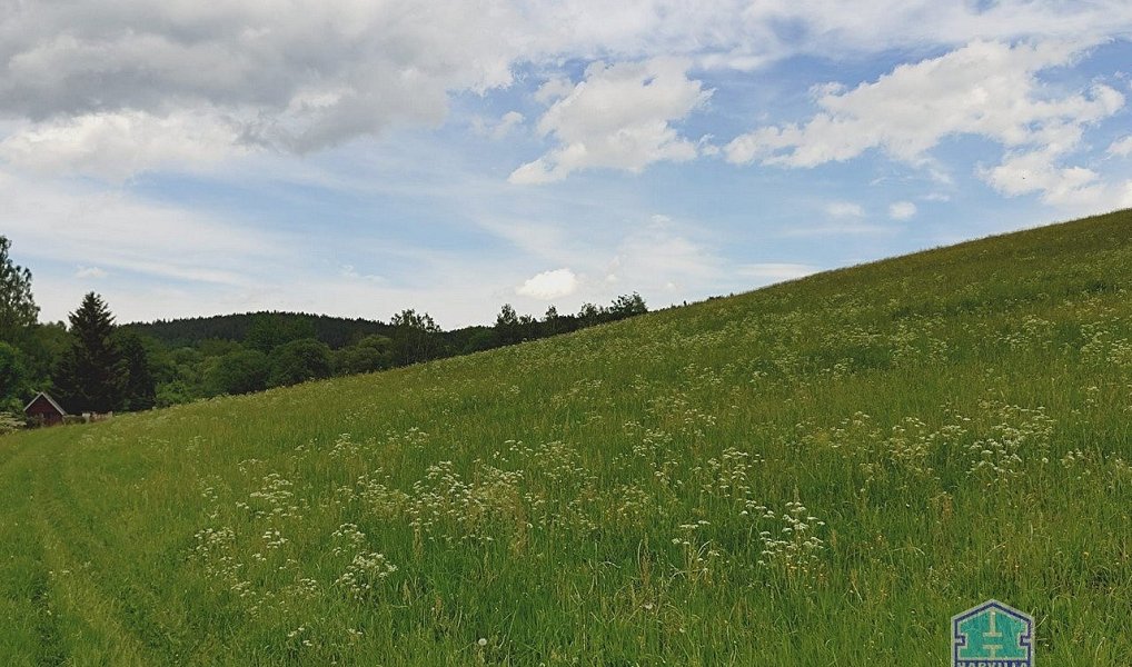 Prodej chaty/chalupy 20 m² s pozemkem 423 m², Kašperské Hory – náhled fotky 20