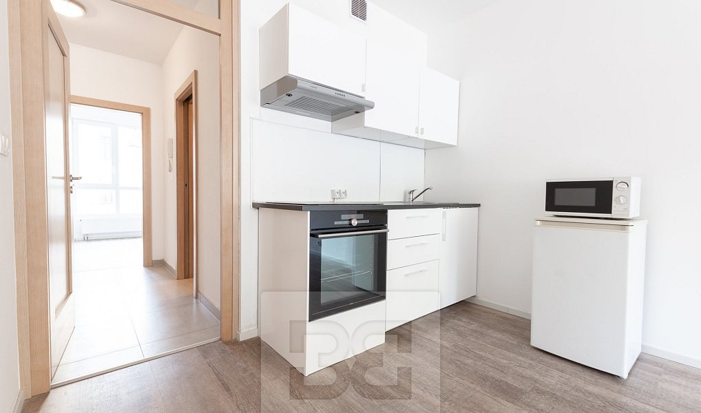 Pronájem bytu 2+kk 48 m², Praha – náhled fotky 4
