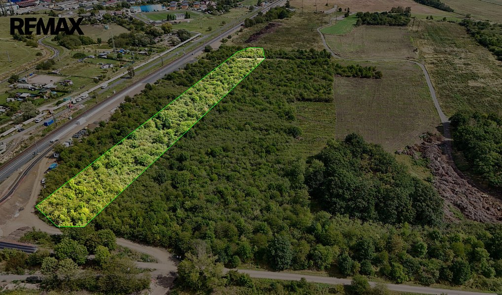 Prodej lesa 14 938 m², Málkov – náhled fotky 3