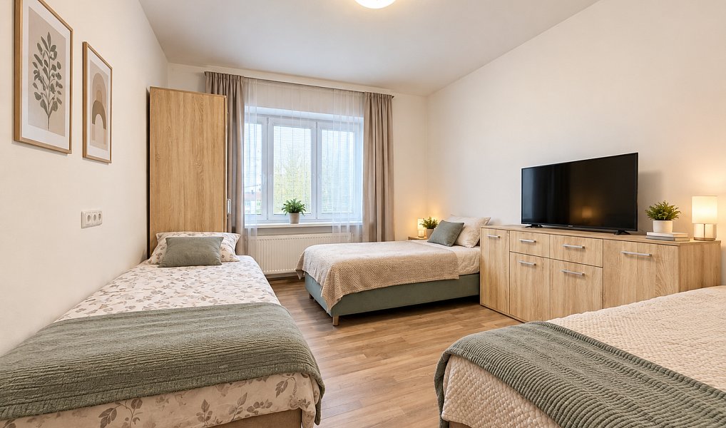 Prodej domu 120 m² s pozemkem 462 m², Rozvadov – náhled fotky 9