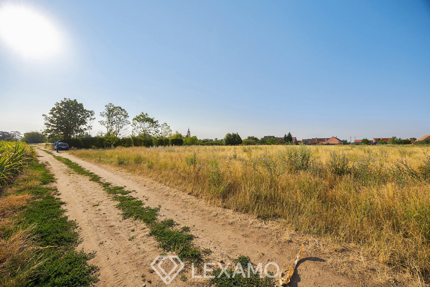 Prodej zahrady 3 930 m² – fotografie 3