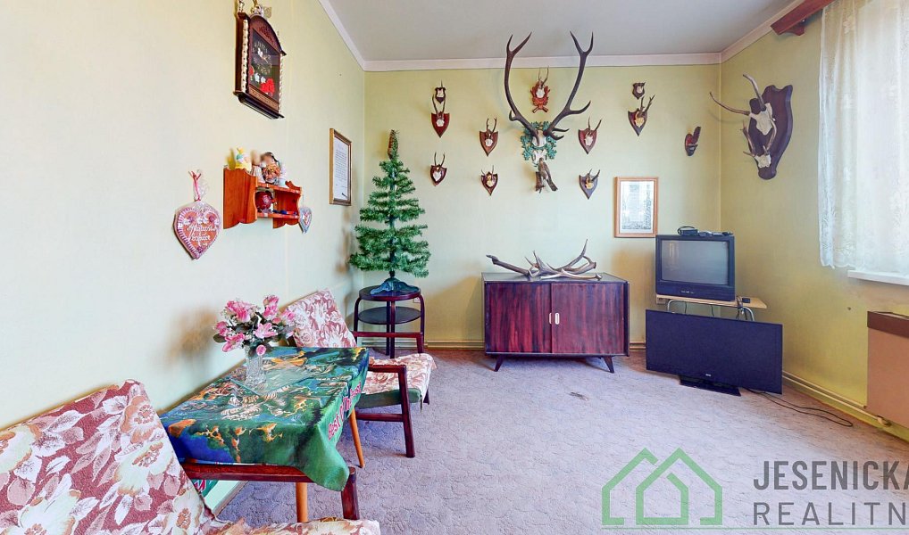 Prodej domu 269 m² s pozemkem 702 m², Javorník – náhled fotky 9