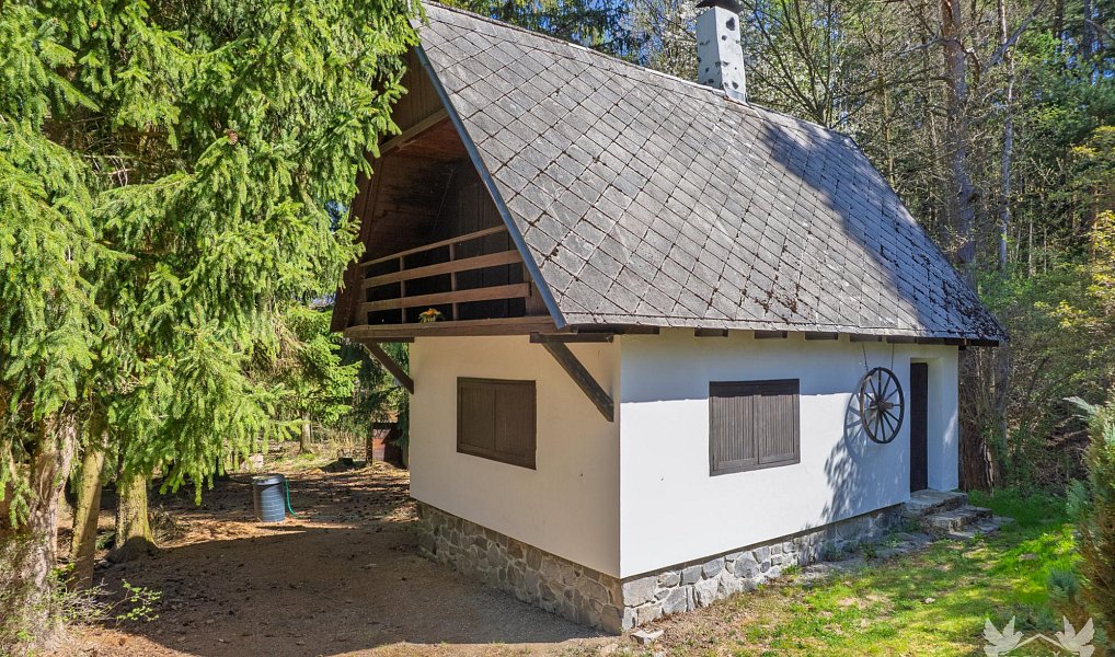Prodej chaty/chalupy 60 m², Dřešín – náhled fotky 24