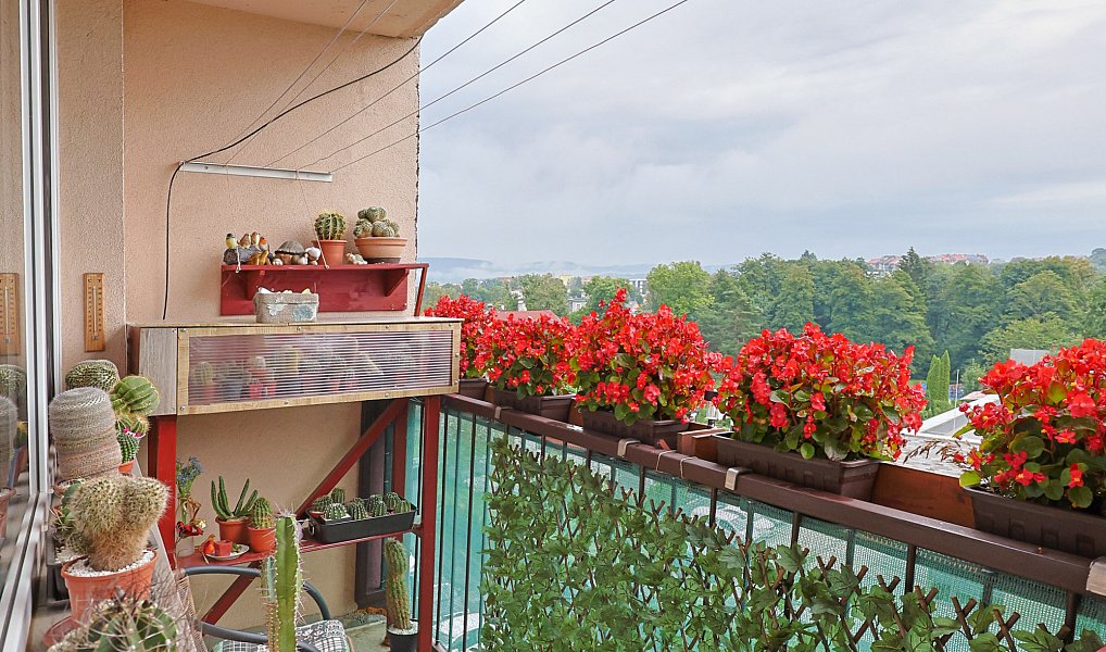 Prodej bytu 3+1 70 m², Liberec – náhled fotky 7