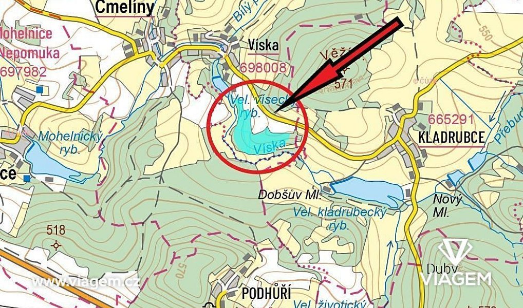 Prodej lesa 7 020 m², Čmelíny – náhled fotky 4
