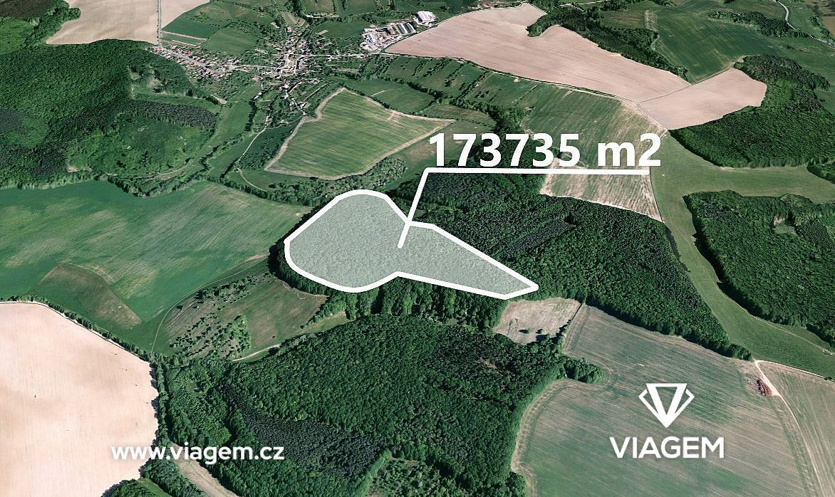 Prodej lesa 31 024 m²