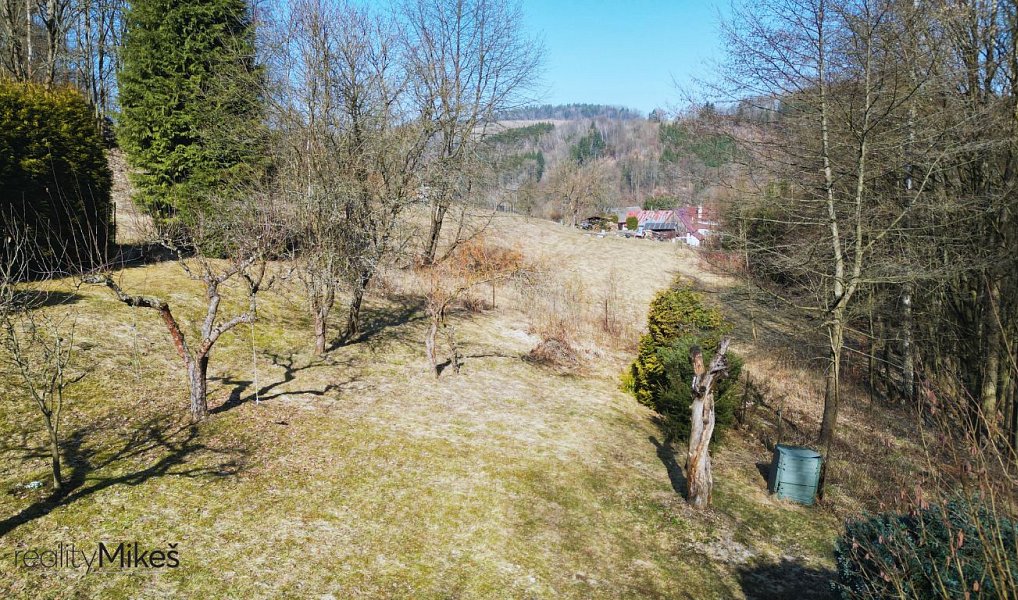 Prodej louky 4 168 m², Železný Brod – náhled fotky 3