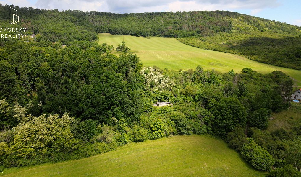 Prodej stavebního pozemku 1 000 m², Vráž – náhled fotky 8