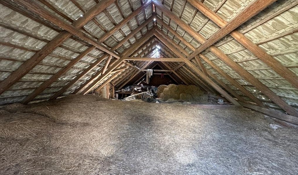 Prodej domu 371 m² s pozemkem 11 770 m², Křižanov – náhled fotky 7