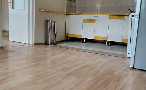 Pronájem bytu 1+1 47 m²