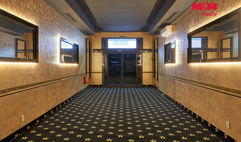 Pronájem obchodních prostor 205 m², Uherský Brod – náhled fotky 4