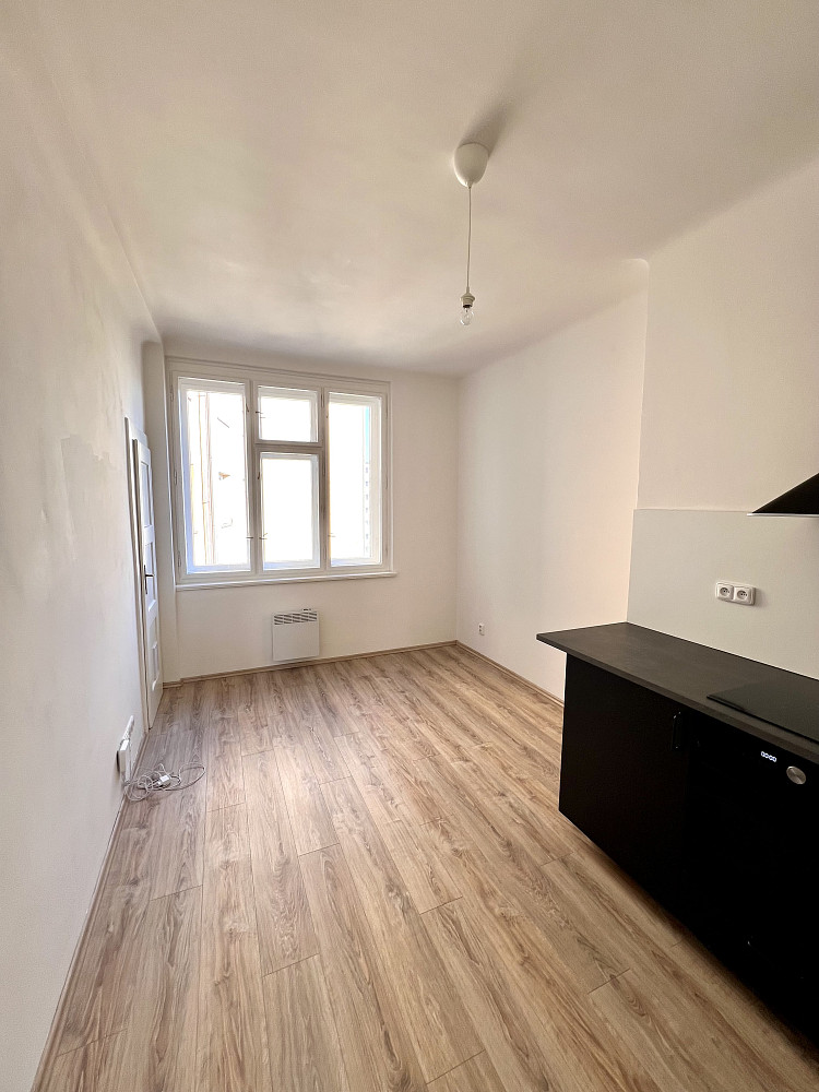 Prodej bytu 1+1 48 m²