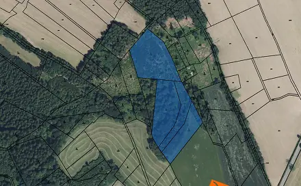 Prodej lesa 2 496 m², Roprachtice, okres Semily