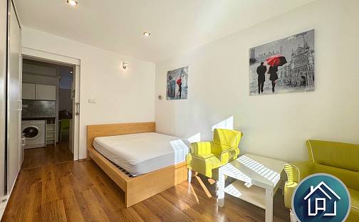 Prodej bytu 1+1 28 m², Žižkova tř., České Budějovice - České Budějovice 6