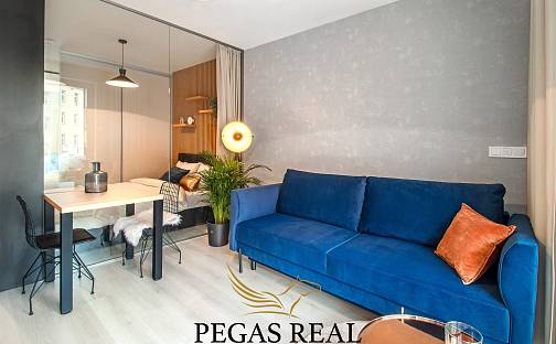 Prodej bytu 1+kk 55 m², Dornych, Brno - Trnitá