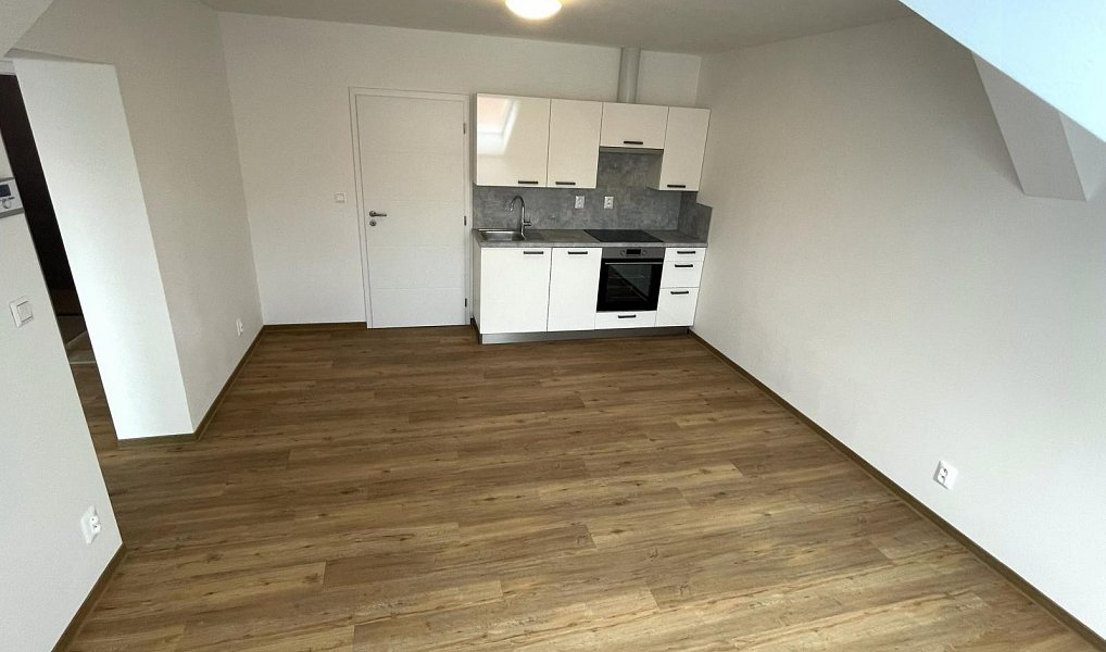 Pronájem bytu 2+kk 48 m², Plzeň – náhled fotky 6