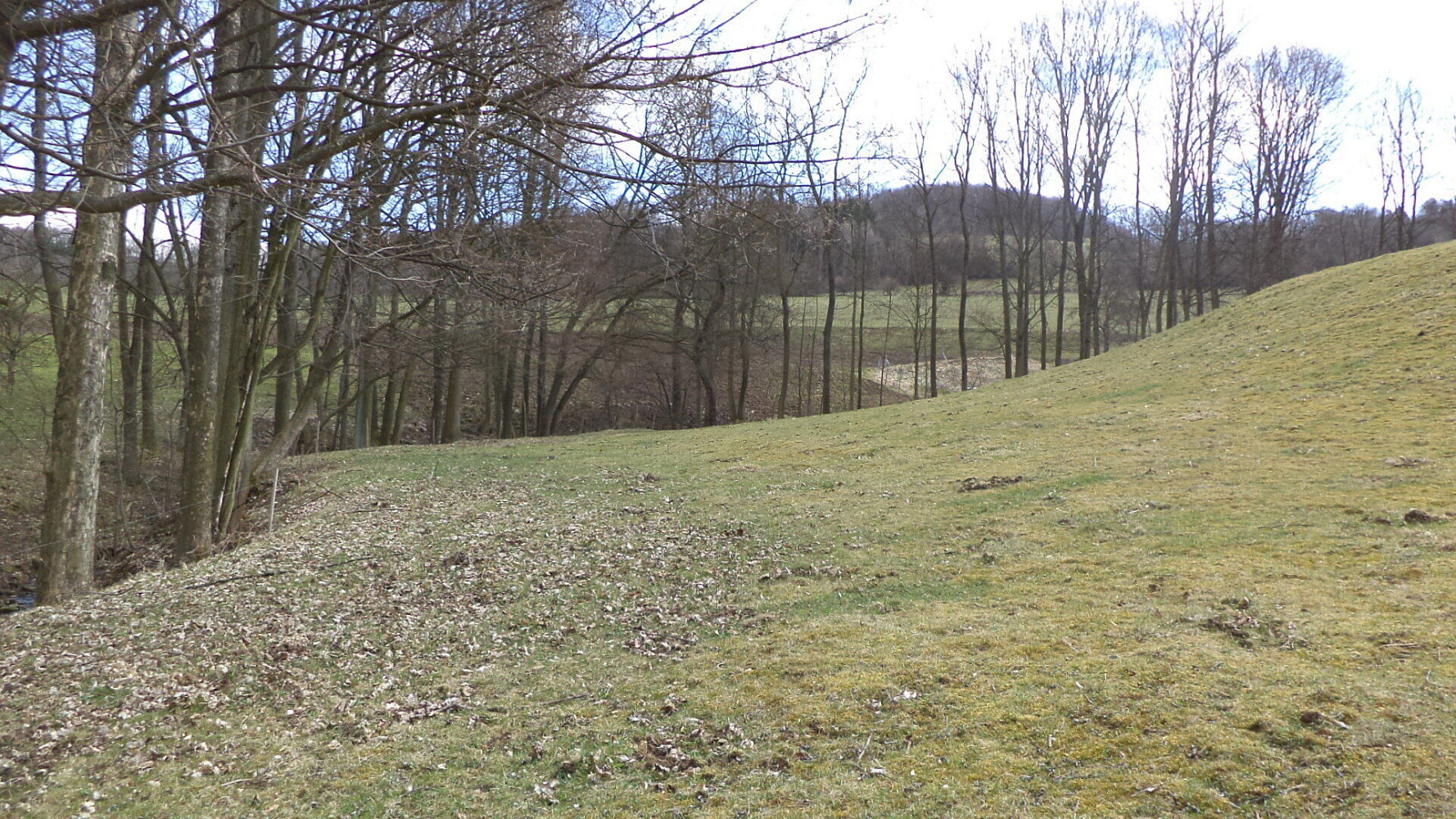 Prodej pole 4 633 m²
