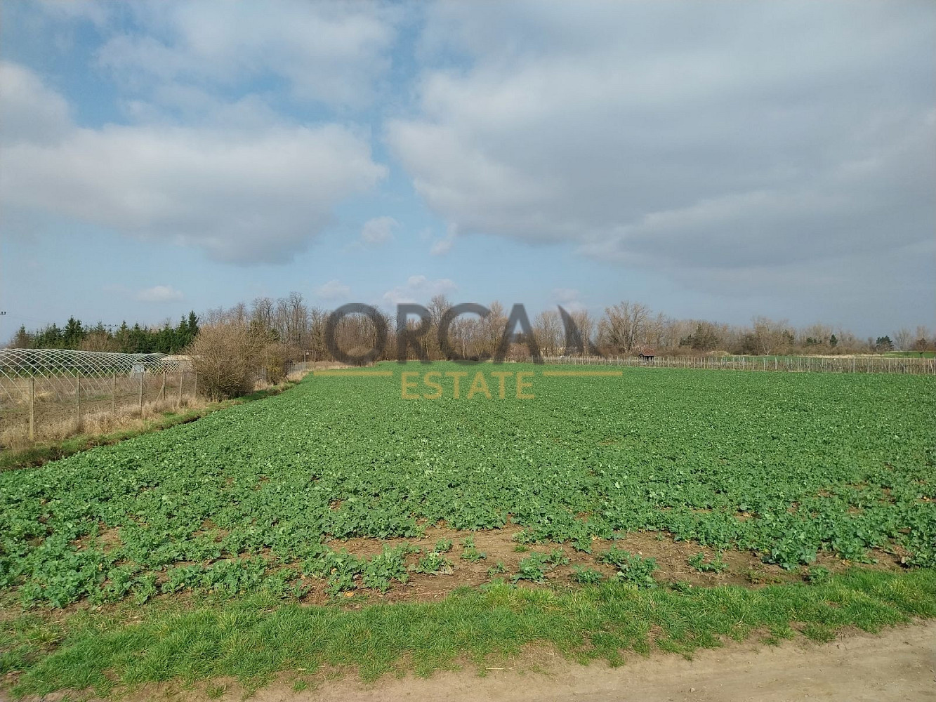 Prodej stavebního pozemku 2 817 m² – fotografie 4