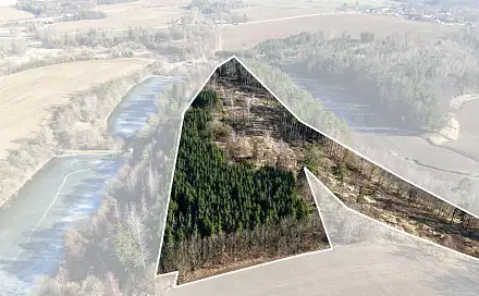 Prodej lesa 35 440 m², Chotoviny - Liderovice, okres Tábor