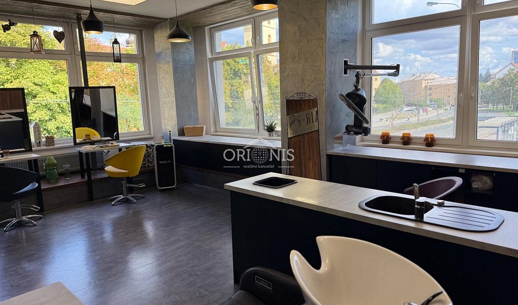 Prodej komerčního objektu (jiného typu) 70 m², Chomutov – náhled fotky 12