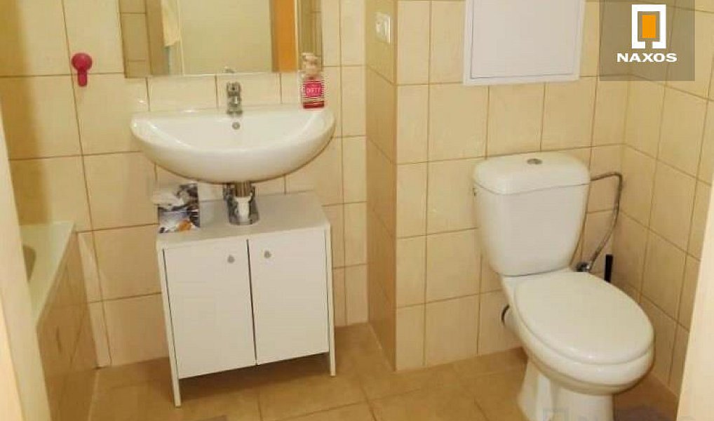 Pronájem bytu 1+1 45 m², Ostrava – náhled fotky 6