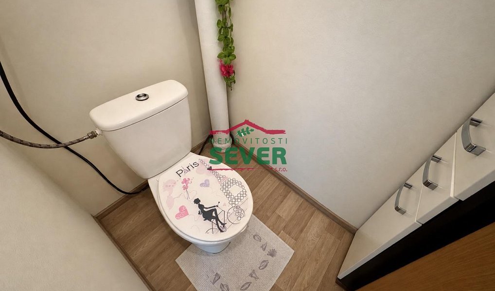Prodej domu 571 m² s pozemkem 158 m², Luby – náhled fotky 7